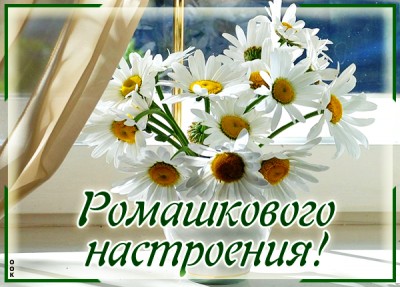 Открытка для настроения вам ромашки