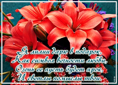 Открытка для тебя лилии с любовью