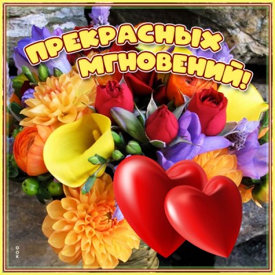 Открытка добрая картинка прекрасных мгновений