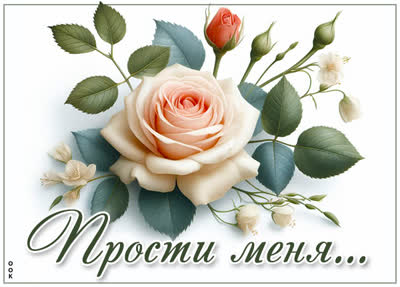 Postcard добрая открытка с розой прости меня