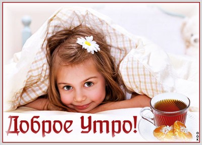 Открытка доброе утро и чудесного дня