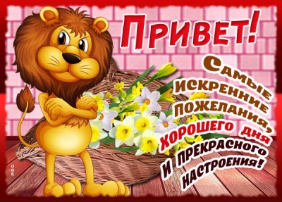 Картинка душевная картинка привет