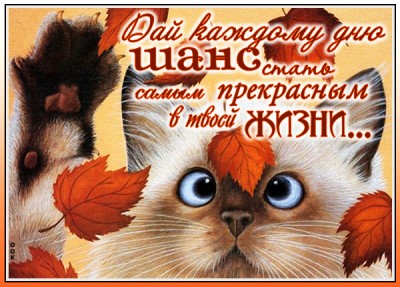 Открытка душевная картинка с пожеланием