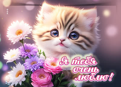 Picture эффектная открытка я тебя очень люблю