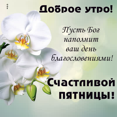 Picture элегантная картинка счастливой пятницы