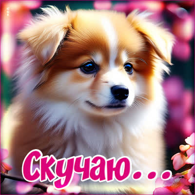 Picture элегантная открытка скучаю