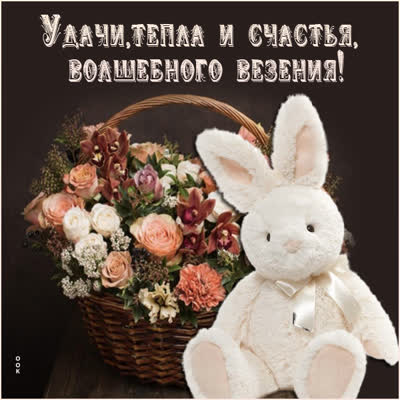 Picture элегантная открытка волшебного везения