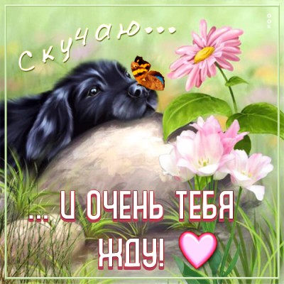 Картинка эмоциональная открытка скучаю
