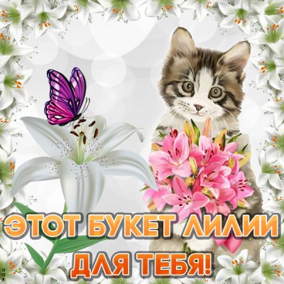 Картинка этот букет лилии для тебя