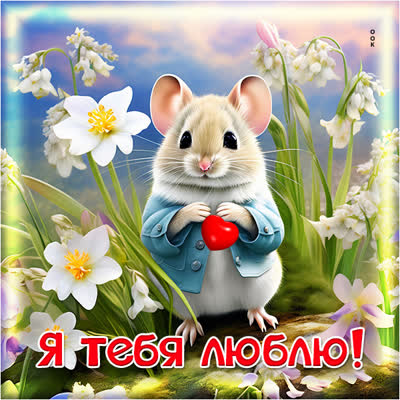 Postcard игривая открытка я тебя люблю