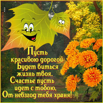 Postcard интересная картинка с пожеланиями