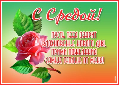Картинка интересная картинка со средой