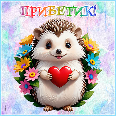 Picture интересная открытка приветик