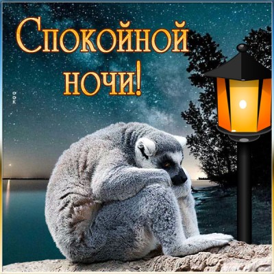 Картинка интересная открытка спокойной ночи