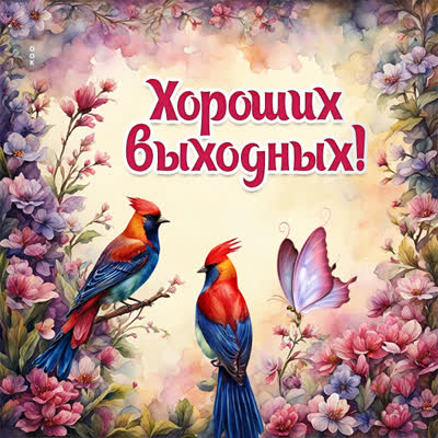 Picture интересная открытка хороших выходных