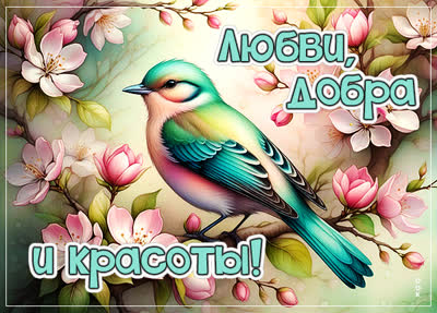 Postcard искренняя открытка любви, добра и красоты