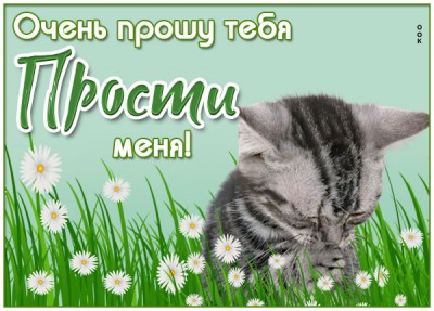 Картинка искренняя открытка прости
