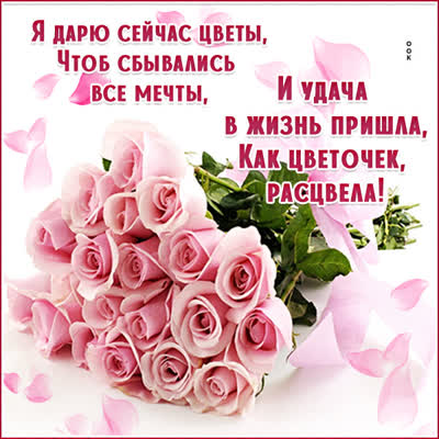 Picture искромётная картинка я дарю сейчас цветы