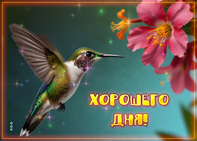 Postcard изысканная открытка хорошего дня