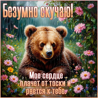 Postcard картинка безумно скучаю и тоскую по тебе