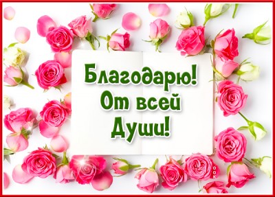 Открытка картинка благодарю от всей души