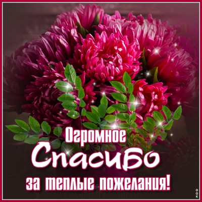 Открытка картинка большое спасибо с цветами