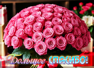 Postcard картинка большое спасибо, прими этот скромный букет