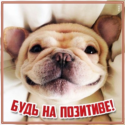 Открытка картинка будь на позитиве