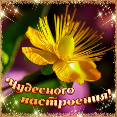 Картинка картинка чудесного настроения