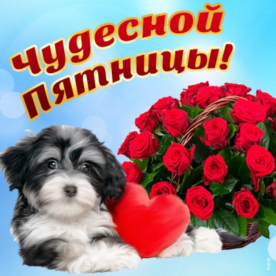 Открытка картинка чудесной пятницы