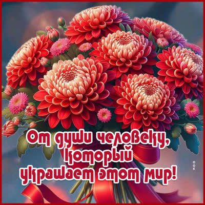 Picture картинка цветы, наполненные нежностью и любовью