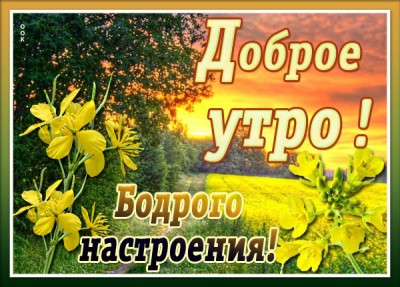 Картинка картинка доброе утро и прекрасного дня