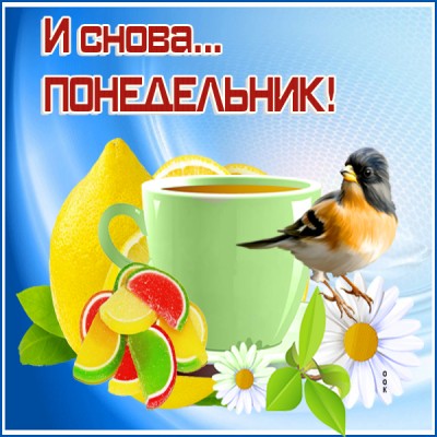 Открытка картинка доброе утро понедельника