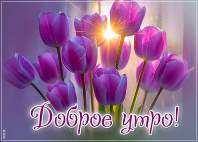 Picture картинка доброе утро пусть этот день будет счастливым
