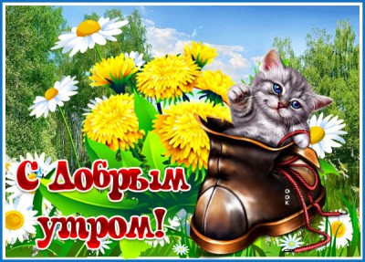 Открытка картинка доброе утро радостного дня
