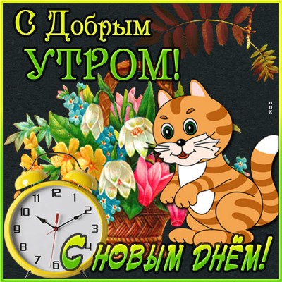 Открытка картинка доброе утро с кошкой