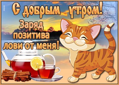 Картинка картинка доброе утро с котенком