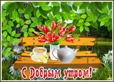 Открытка картинка доброе утро с красными цветами