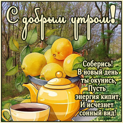 Postcard картинка доброе утро, с пожеланиями радостного дня