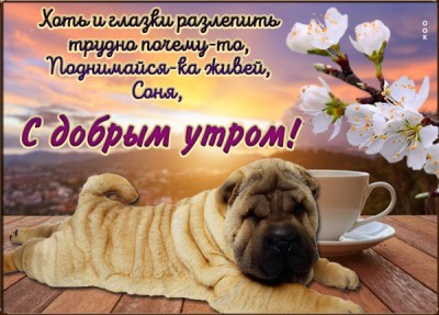 Открытка картинка доброе утро с рассветом