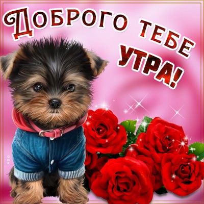 Открытка картинка доброе утро с розами