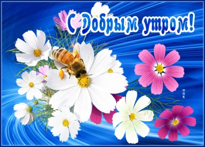 Открытка картинка доброе утро с цветами