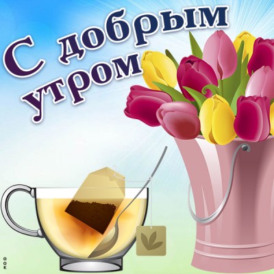 Картинка картинка доброе утро с тюльпанами