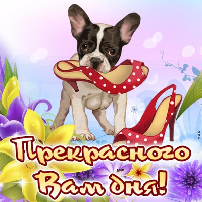 Картинка картинка доброго и хорошего дня