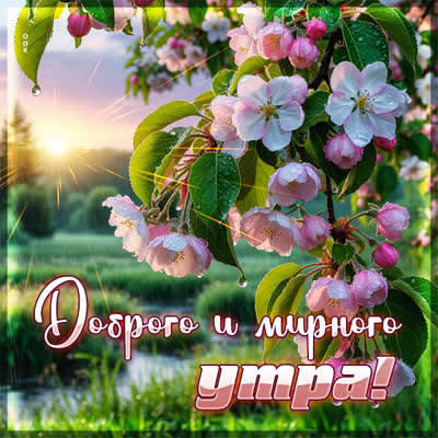 Picture картинка доброго и мирного утра