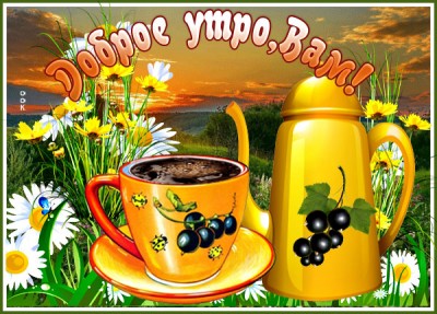 Картинка картинка доброго утра на природе