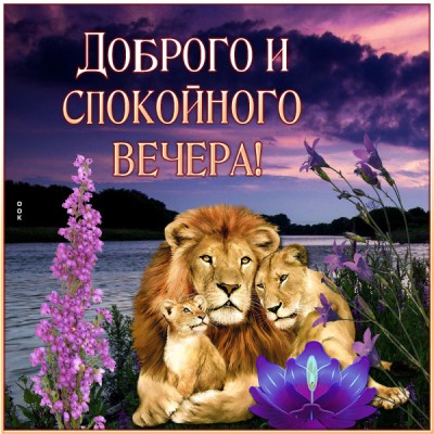 Картинка картинка доброго уютного вечера