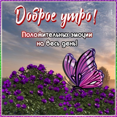 Картинка картинка доброго вам утра, друзья
