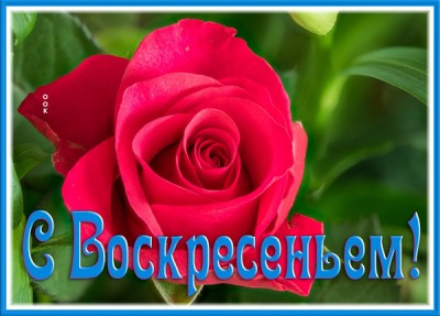 Картинка картинка доброго воскресенья