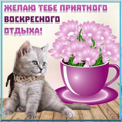 Картинка картинка доброго воскресенья